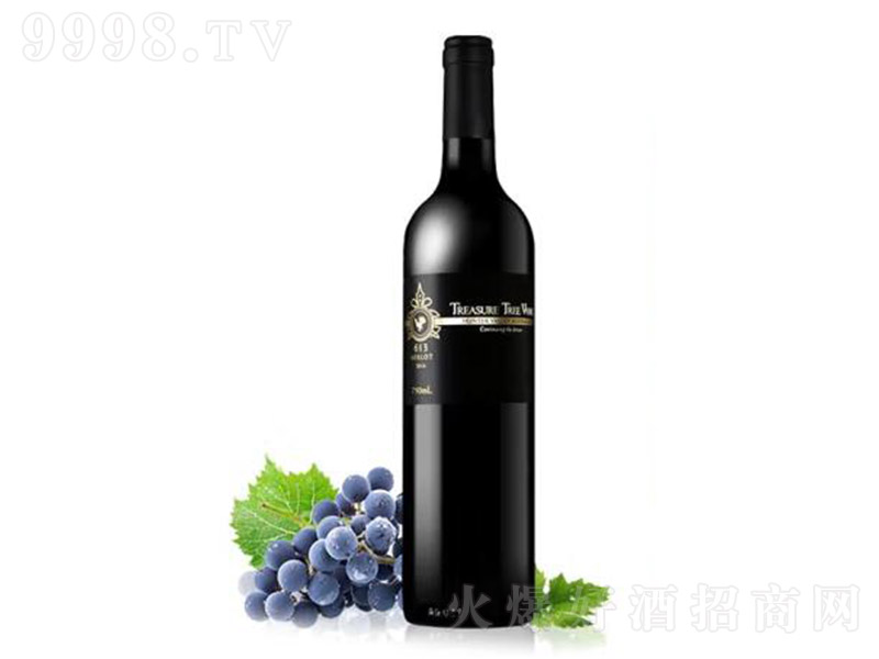 Ĵǿϼ613Ѿ750ml